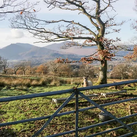 Apartment Carlton House 1